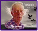 Loiselle (OISEAU), Yvon
